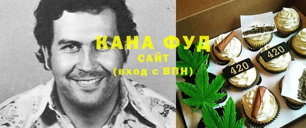дживик Володарск
