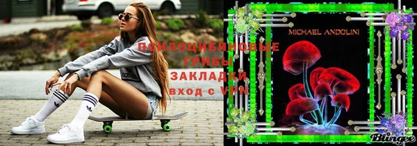 дживик Володарск