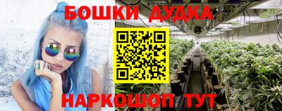 спайс Гай