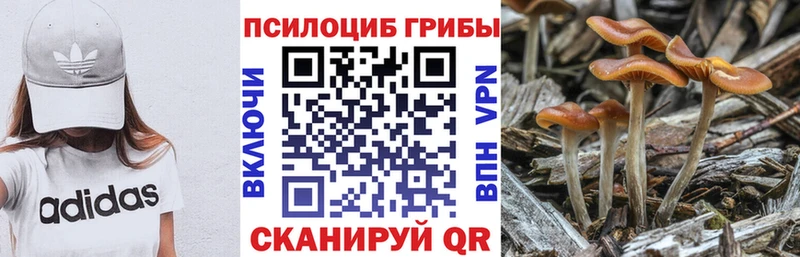 Галлюциногенные грибы MAGIC MUSHROOMS  Назарово 