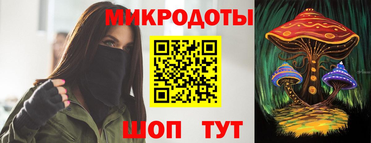 Псилоцибиновые грибы Cubensis Назарово